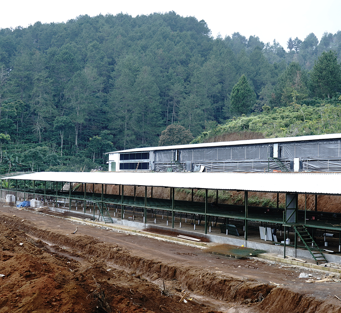 KANDANG AYAM CLOSED HOUSE CISAGA (3 KANDANG)